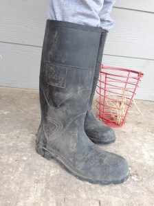 "High Fashion" poop kickers for the homestead. Tall enough so poops won't splash on your clothes, and dark enough so the poop/blood doesn't show!