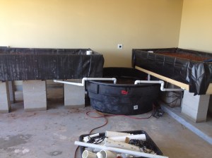 The AP System. Beds are slightly angled down towards the tank to enable gravity feed.