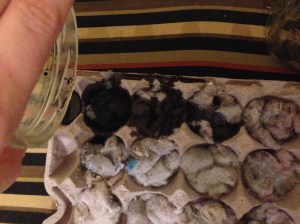 Pour the wax from your candle or melt warmer onto your Lint Eggs