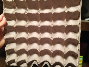 You can use this 30 Egg Cardboard Carton for your project as well. I was lucky enough to get all of my cartons from co-workers, family, and friends:)