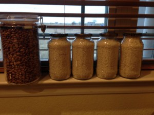 Using Spaghetti jars to store rice, and an old container I received some cookies in once. Make sure your container is Food Grade and air tight.