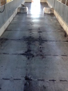 Dried to the touch, this floor is lookin flashy!