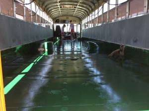 From the Rear. Almost complete